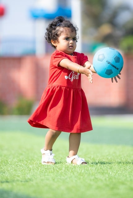 可以看出 可以看出