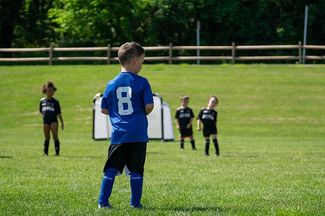 的意甲联赛 的意甲联赛