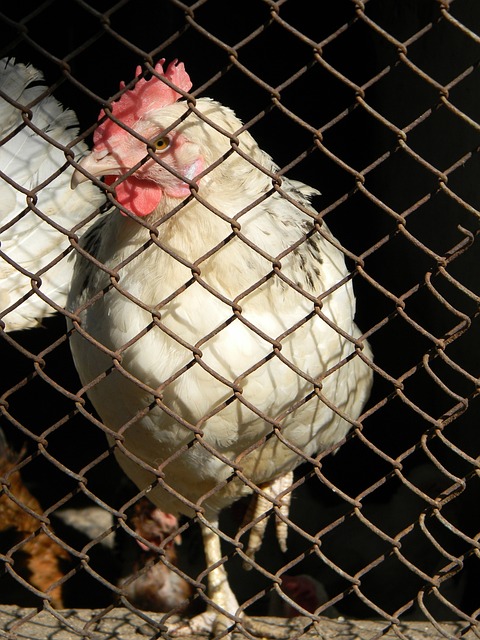 练的指导下 练的指导下