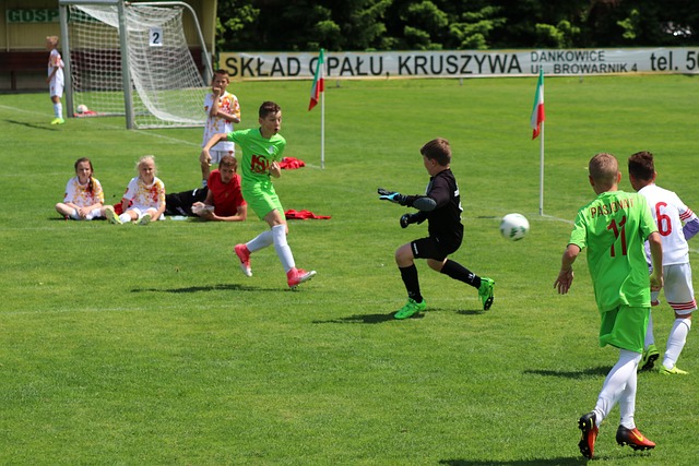 夺更好排名 夺更好排名