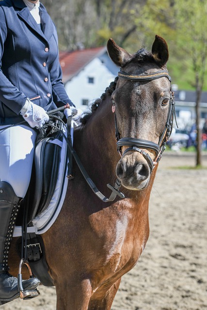 这种不公开 这种不公开