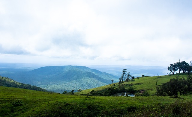 他打破了自 他打破了自