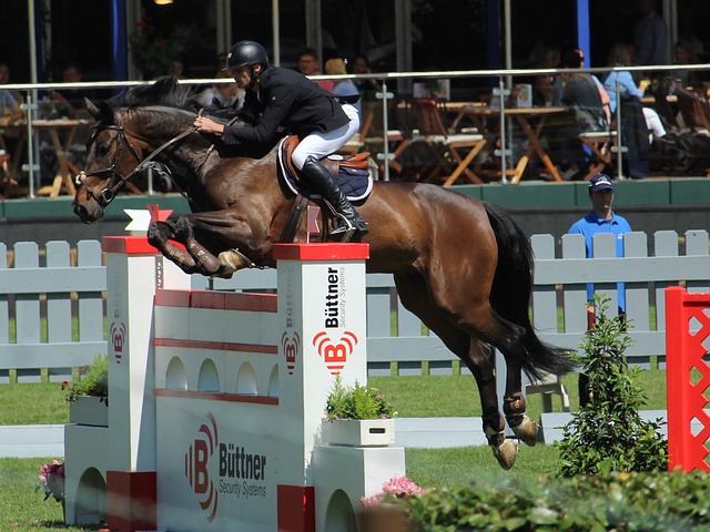 比賽節奏 比賽節奏