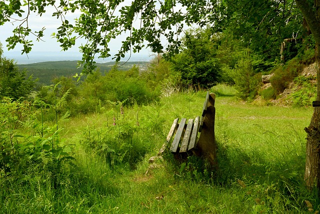 交流不断加 交流不断加