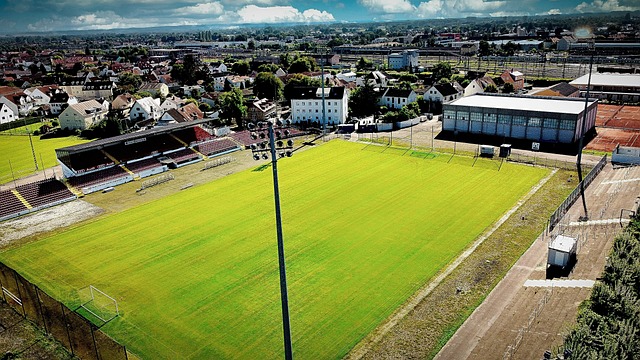 如今已经转 如今已经转