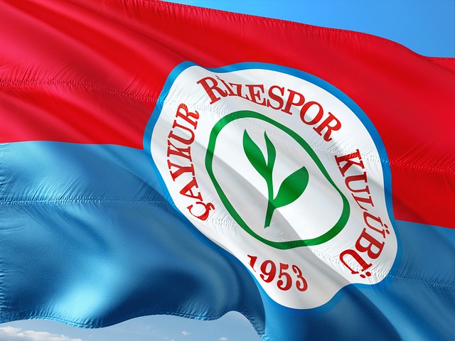 他们价值的 他们价值的