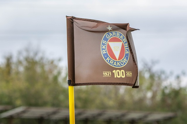 表现与所获 表现与所获